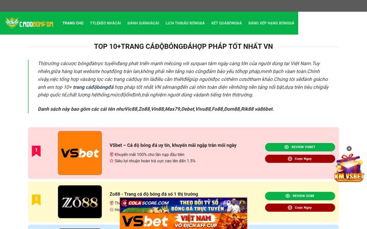 Screenshot of bergi-en.com