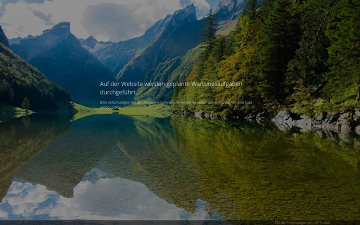 Screenshot of bergisch-solutions.com