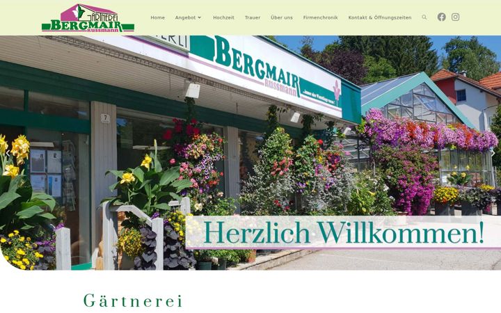 Screenshot of bergmair.at