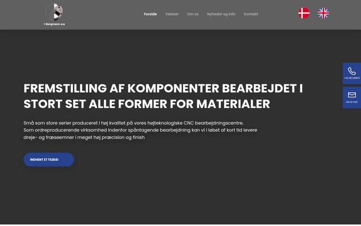 Screenshot of bergmann.dk