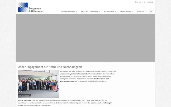 Screenshot of bergmannhillebrand.de