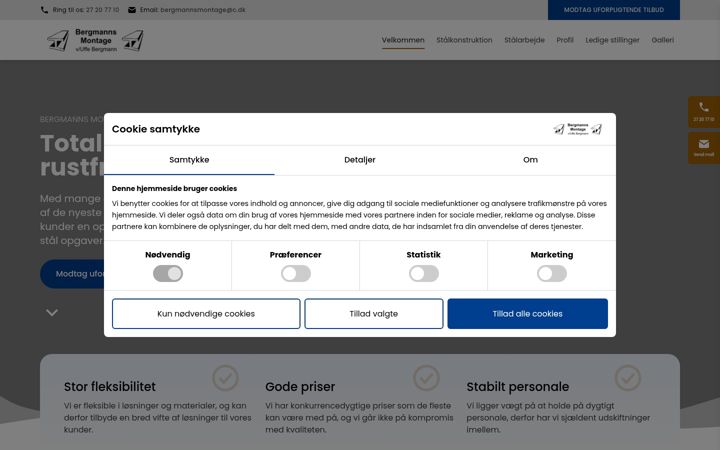 Screenshot of bergmannsmontage.dk