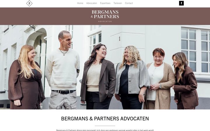 Screenshot of bergmanspartners.nl