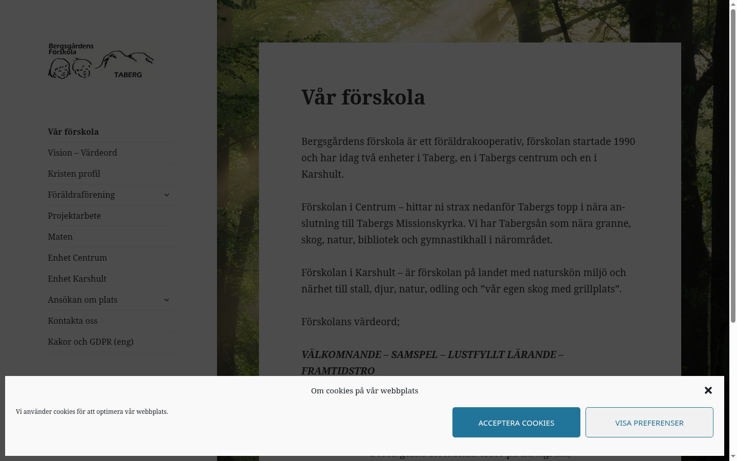 Screenshot des Einwilligungsbanners vor jeglicher Interaktion