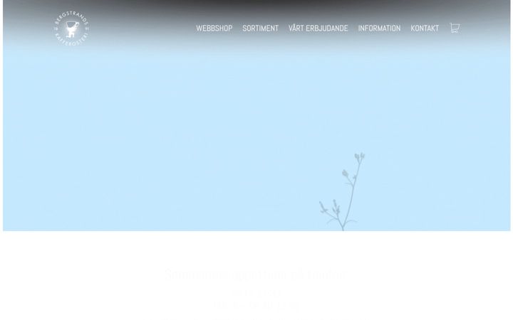 Screenshot of bergstrands.se