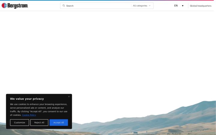 Screenshot of bergstrominc.com