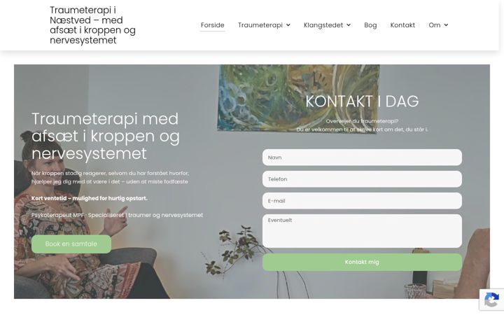 Screenshot of beritterapi.dk