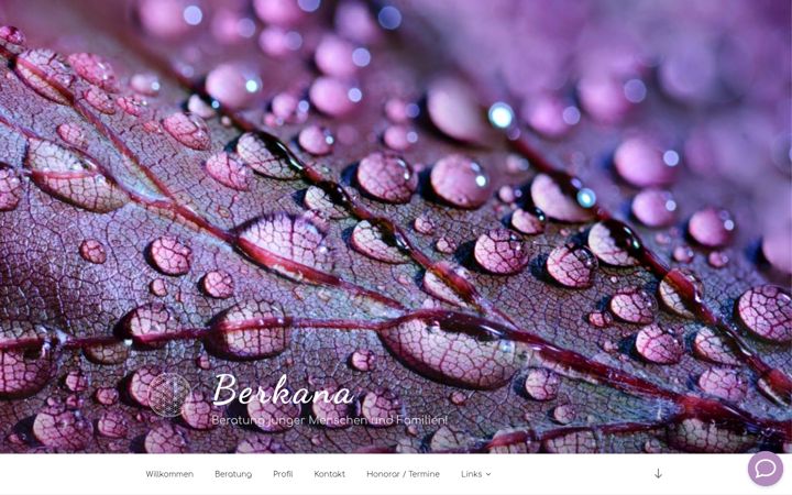 Screenshot of berkana-beratung.de