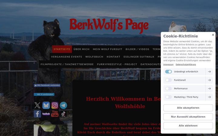 Screenshot of berkwolf.de