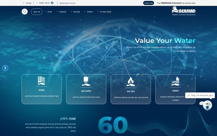 Screenshot of bermad.co.il