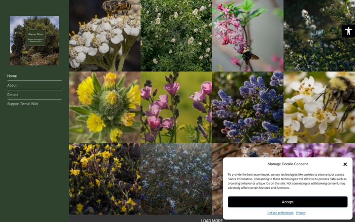 Screenshot of bernalwild.org