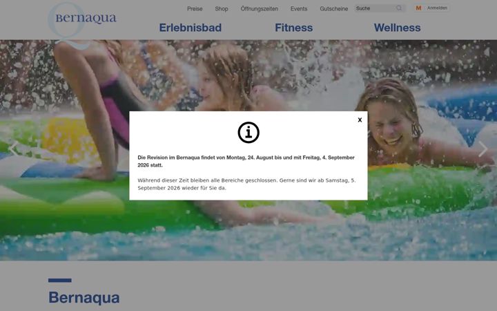 Screenshot of bernaqua.ch