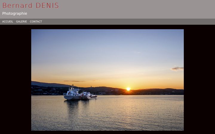 Screenshot of bernard-denis.com