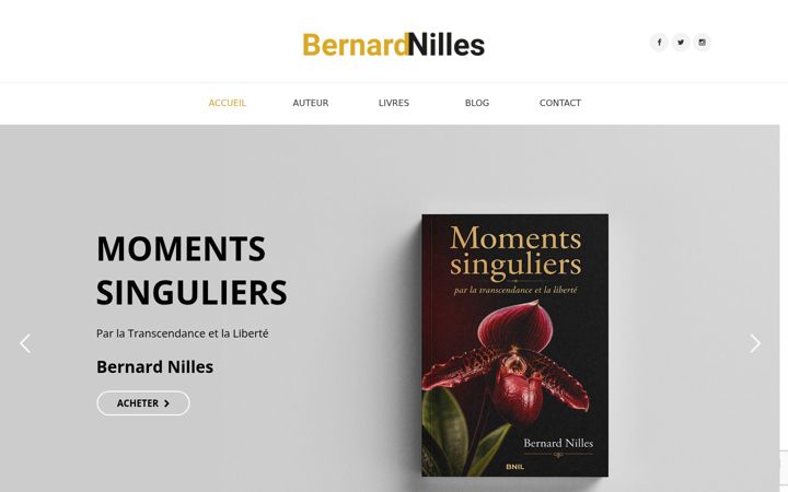 Screenshot of bernard-nilles.com