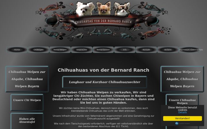 Screenshot of bernard-ranch.de