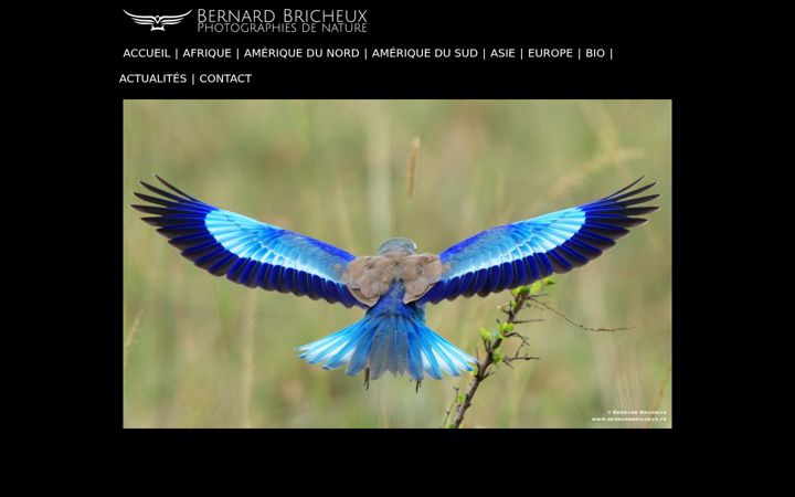 Screenshot of bernardbricheux.fr