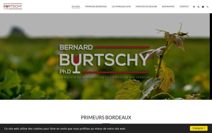 Screenshot of bernardburtschy.com