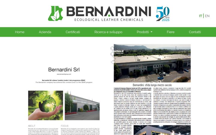 Screenshot of bernardinigroup.com