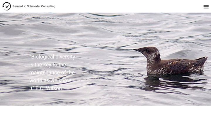 Screenshot of bernardkschroeder.com