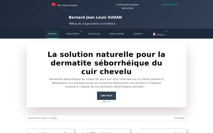 Screenshot of bernardsudan.net