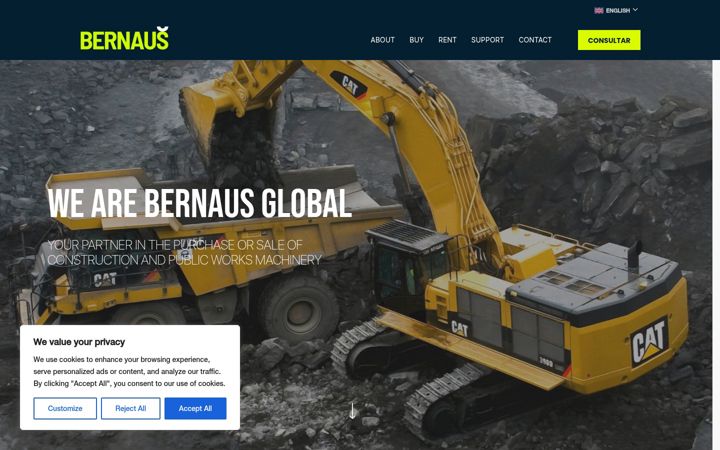 Screenshot of bernausglobal.com