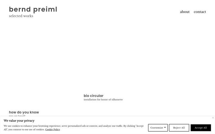 Screenshot of berndpreiml.net
