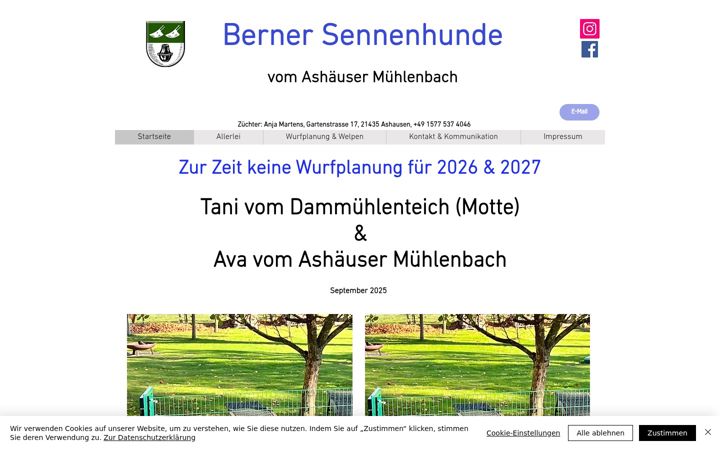 Screenshot of berner-ashausen-vom-muehlenbach.de