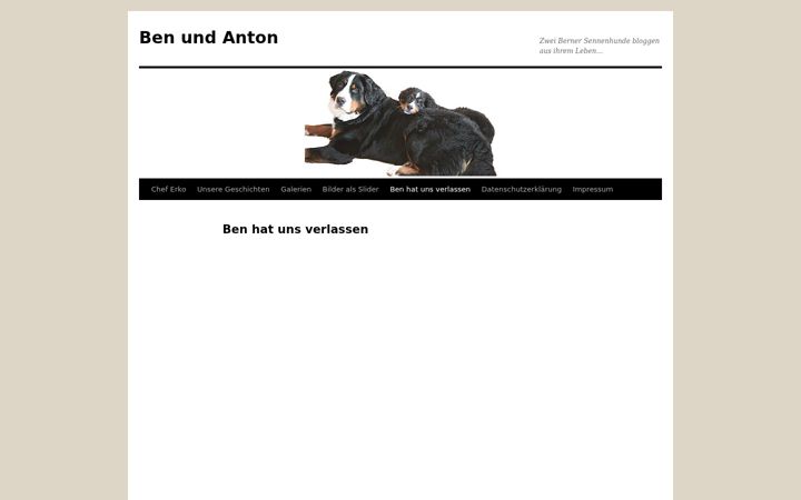 Screenshot van berner-blog.de
