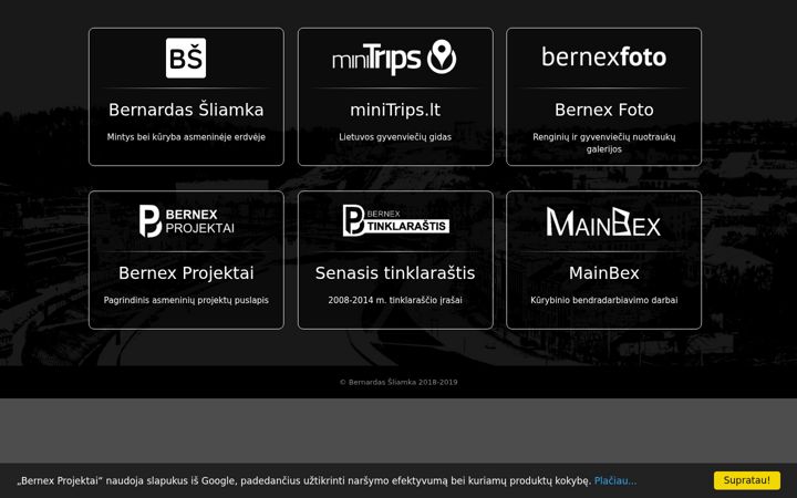 Screenshot of bernex.lt