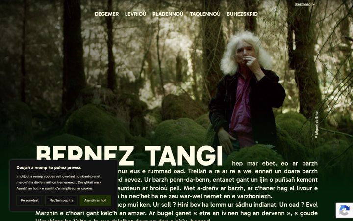 Screenshot of bernez-tangi.com