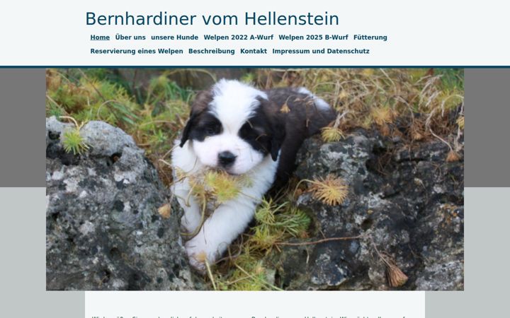 bernhardiner-helio.de