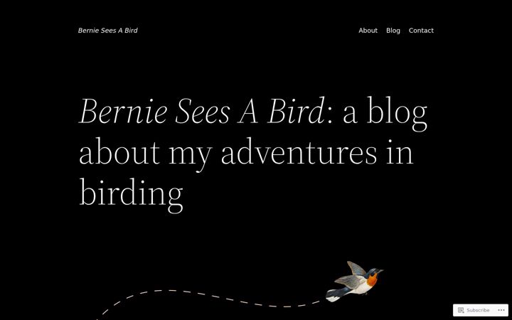 Screenshot of bernieseesabird.com