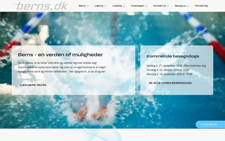 Screenshot of berns.dk