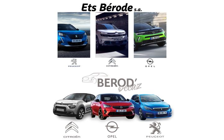 Screenshot of berode-sa.com
