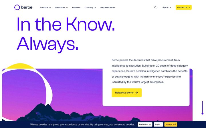 Screenshot of beroe-inc.com