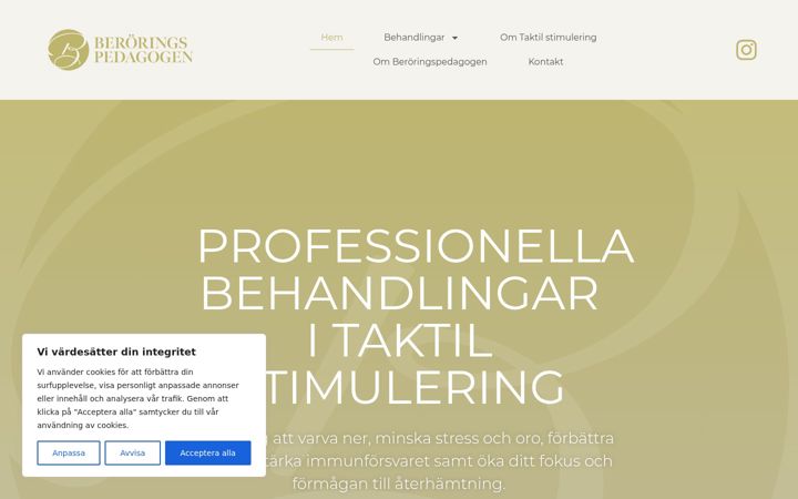 Screenshot of beroringspedagogen.se