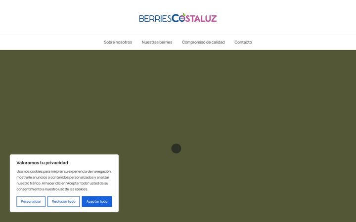 Zrzut ekranu berriescostaluz.es
