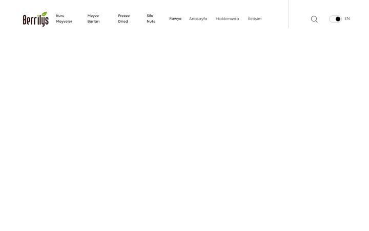 Screenshot of berrilys.com