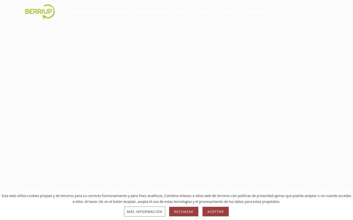 Screenshot von berriup.com