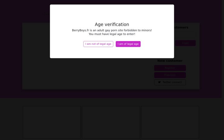 Screenshot of berryboys.fr