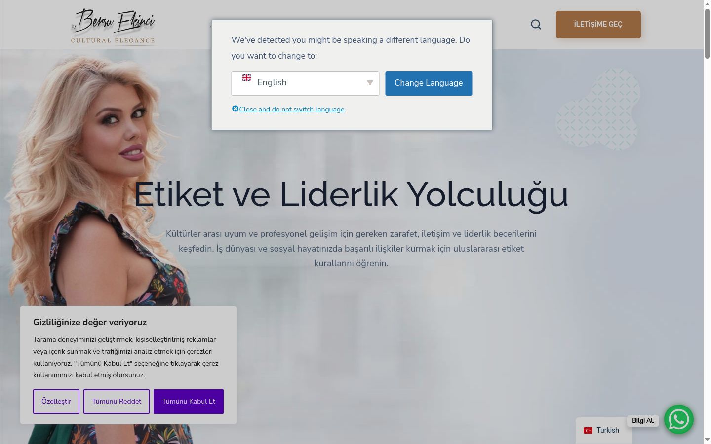Screenshot of the consent banner shown before any interaction