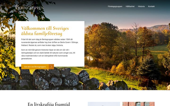 Screenshot of berte.se