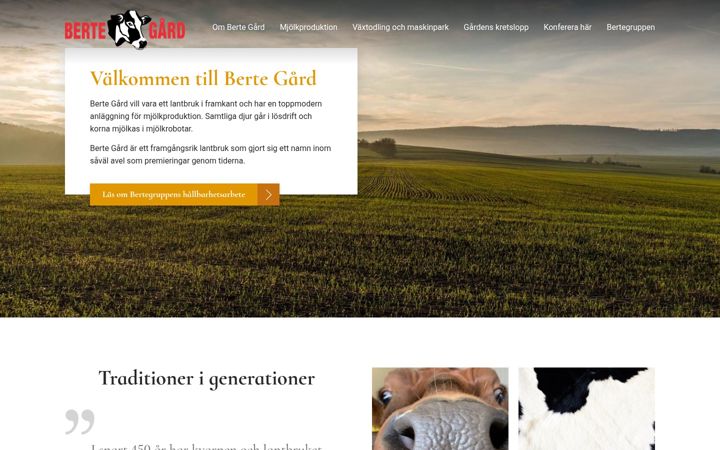 Screenshot of bertegard.se