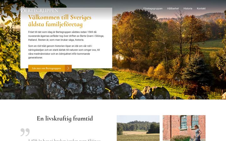 Screenshot of bertegruppen.se