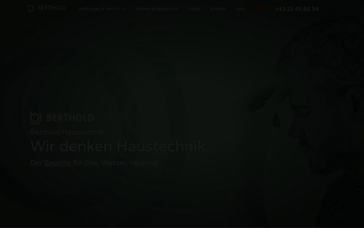 Screenshot of berthold-haustechnik.at