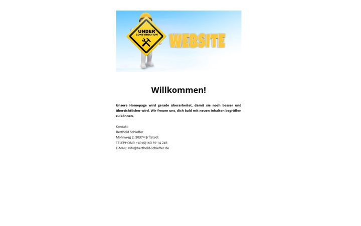 Screenshot of berthold-schieffer.de