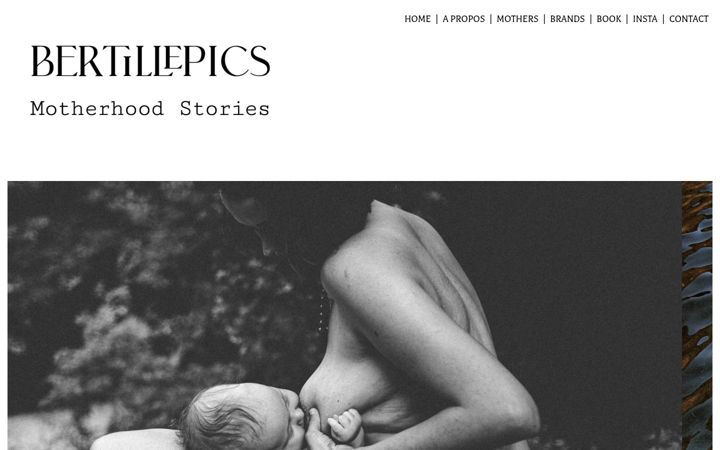 Screenshot of bertillepics.com