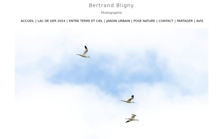 Screenshot of bertrandbligny.fr