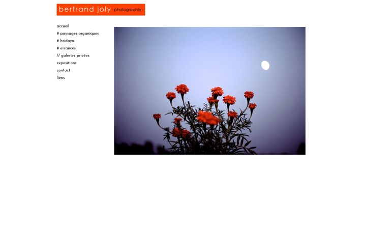 Screenshot of bertrandjoly.com