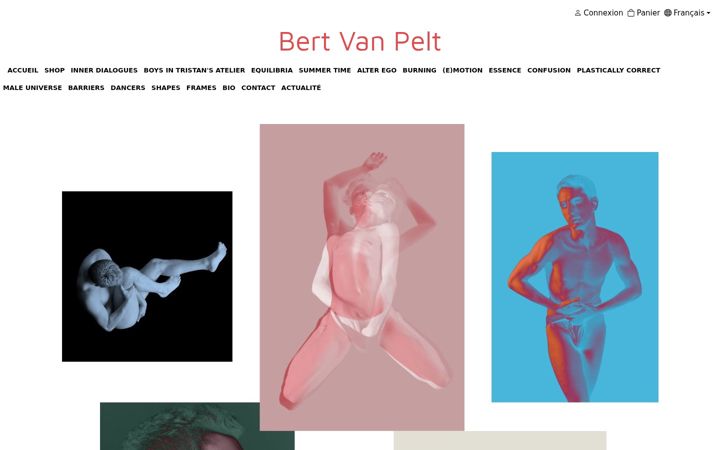 Screenshot of bertvanpelt.com